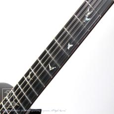 Greven Guitars Japan Oshio-DC BR _12