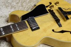 Archtop Tribute AT105 Jr._6