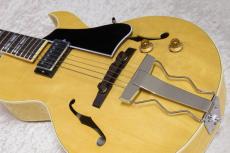 Archtop Tribute AT105 Jr._7