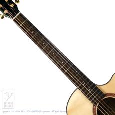 Switch SJ-70C RW_5