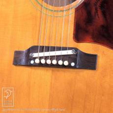Gibson J-50_9
