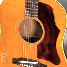 Gibson J-50_10