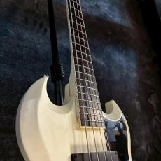 Edwards E-J-85MF White LUNA SEA J Signature 【3.91㎏】_13