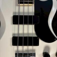 Edwards E-J-85MF White LUNA SEA J Signature 【3.91㎏】_17