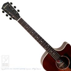 Eastman PCH2-GACE-CLA_6