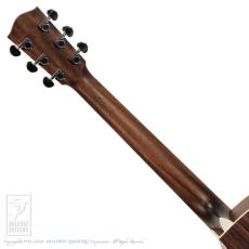 Eastman PCH2-GACE-CLA_7