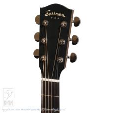 Eastman PCH2-GACE-CLA_8