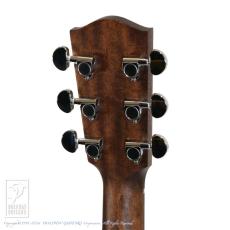 Eastman PCH2-GACE-CLA_9