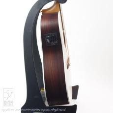 Maton ER90C_5