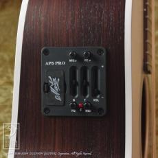 Maton ER90C_13