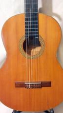 YAMAHA No.G-100_2