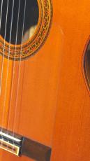 YAMAHA GC-3_6