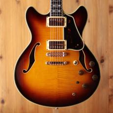 Ibanez AS200 AV