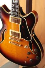 Ibanez AS200 AV_3