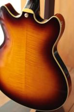 Ibanez AS200 AV_4