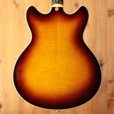 Ibanez AS200 AV_5