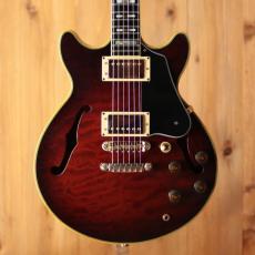 Ibanez AM-205AV