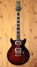 Ibanez AM-205AV_2