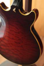 Ibanez AM-205AV_4