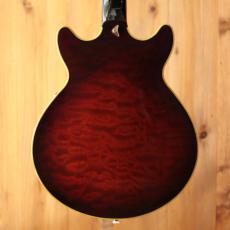 Ibanez AM-205AV_5