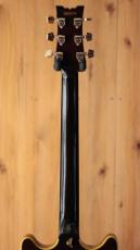 Ibanez AM-205AV_7