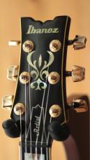 Ibanez AM-205AV_9