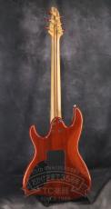 Fujigen Custom Shop EF-CT14 Amber_6