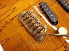Fujigen Custom Shop EF-CT14 Amber_13