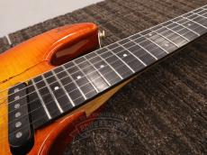 Fujigen Custom Shop EF-CT14 Amber_15