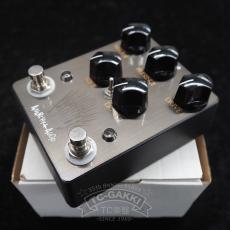 ANARCHY-AUDIO Gain of Tones (Overdrive)