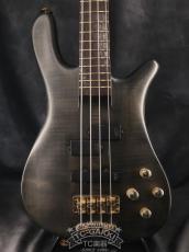 Warwick 1998 Streamer Stage I