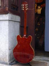 Epiphone '94 Sheraton II_2