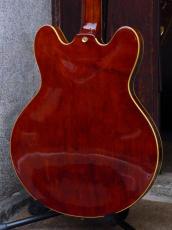 Epiphone '94 Sheraton II_4