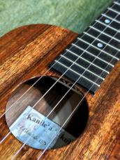 Kanile'a K-1T/G Tenor Gloss 【テナー/ハワイアンコア】【24回金利0%対象】【送料込】_6
