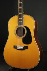 Martin D12-45_2