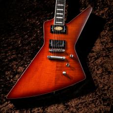 Epiphone 【NEW】Extura  Prophecy Aged Bengal Tiger Burst #24041529922 [3.76kg]