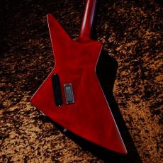 Epiphone 【NEW】Extura  Prophecy Aged Bengal Tiger Burst #24041529922 [3.76kg]_5