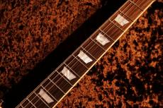 Epiphone Inspired by Gibson Custom【NEW】 1957 Les Paul Goldtop Reissue Double Gold #24121524155 [4.02kg] _3