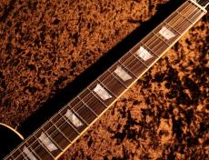 Epiphone 【NEW】1959 Les Paul Standard Reissue ~Washed Bourbon Burst~ #24121526364 [4.39kg] [送料込] _6