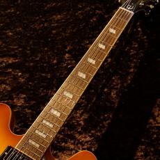 Epiphone 【NEW】Riviera ~Royal Tan~ #2503151113 [3.50kg] _3