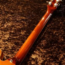 Epiphone 【NEW】Riviera ~Royal Tan~ #2503151113 [3.50kg] _6