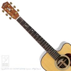 Greven Guitars Japan Oshio-DC BR _6