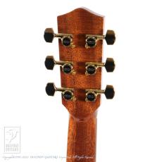 Greven Guitars Japan Oshio-DC BR _9