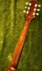 Epiphone 【NEW】 Les Paul Standard 50s Figured Top ~Seafoam Green~ #25021525383 [4.19kg] _9