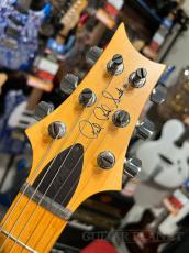 Paul Reed Smith [PRS] 【夏のボーナスセール】 Swamp Ash Special -Blue Matteo- 2005年製_6