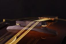 The Future F-5 Type_6