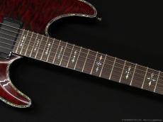 SCHECTER Diamond Series Hellraiser C-1 [Black Cherry]_5