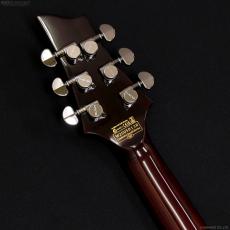 SCHECTER Diamond Series Hellraiser C-1 [Black Cherry]_7