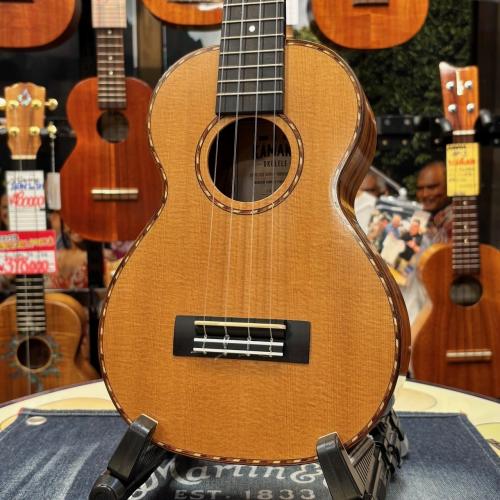Kamaka HF-2DS【コンサートサイズ】【2019年製】
