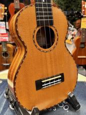 Kamaka HF-2DS【コンサートサイズ】【2019年製】_3